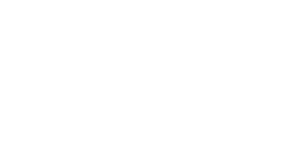 Logo Renzo Gracie